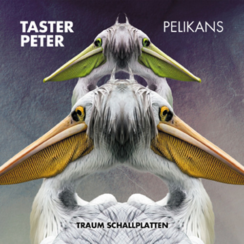Taster Peter - Pelikans (Traum V189)