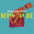 Raleigh&#x20;Ritchie Never&#x20;Say&#x20;Die Artwork