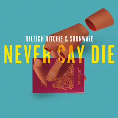 Raleigh Ritchie & Sounwave - Never Say Die