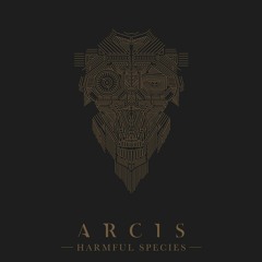 Stella Polaris