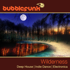 Wilderness - DJ Mix