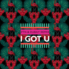 Duke Dumont feat. Jax Jones - I Got U ( PTN x Dubay Remix )