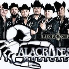 Alacranes Musical_La Lampara