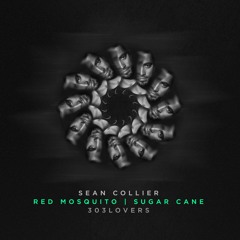 Sean Collier - Sugar Cane (303Lovers)