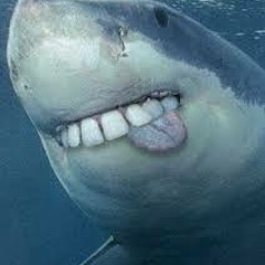 Sharks (prod. by ralphie)