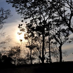 বন্ধু কেমন আছ