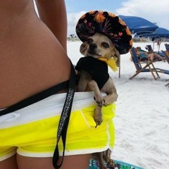 My Beach Has Everything 2015