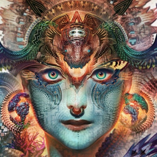 Time to Burn-Dub Foundation(Bassnectar's Red Rocks Edit)
