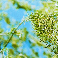 DarwinTrack - Bob003