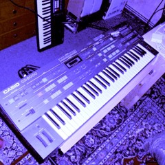 STBB430 - CRUISIN CASIOs