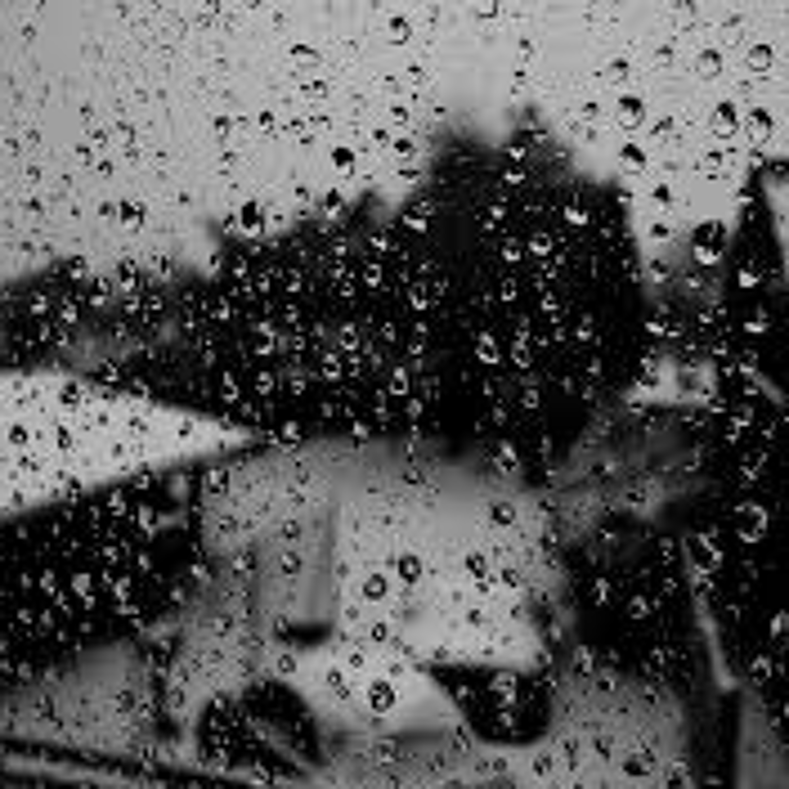 Raindrops (Instrumental)(Album Concept Unfinished Preview) episode artwork
