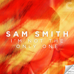 Sam Smith-I'm Not The Only One