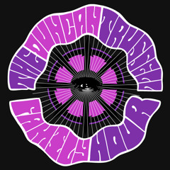 Duncan Trussell Family Hour Theme (Esseks Remix)