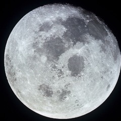 Flatline - cover (from Surgeon Simulator)