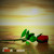 Artwork for A Rose In The Desert - Jason Carroll and the Smooth Jazz Symphony