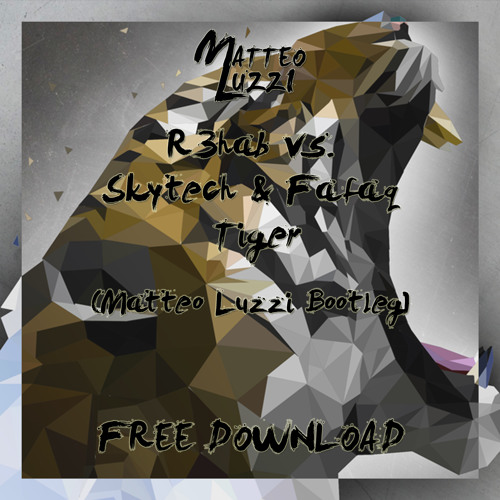 R3hab Vs Skytech & Fafaq - Tiger (Matteo Luzzi Bootleg)