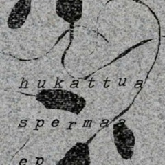 elerksdf & jokunen - Hukattua Spermaa EP