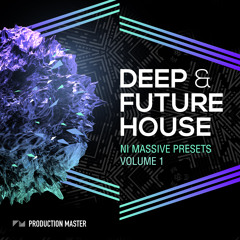 Deep & Future House NI Massive Presets - Get Them Here: http://goo.gl/8OqDH0