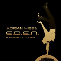 Like No Other -  Quickie Mart Remix - Adrian Hibbs