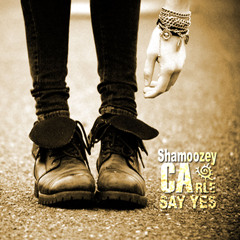Shamoozey and Carle "Say Yes"