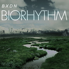 Biorhythm