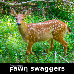 Fawn swaggers