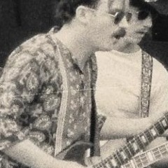 Tyrannosaurus Blues - Merle Brewer