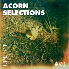 Uplift - Acorn Selections 01 - FREE DL @ acorntapes.bandcamp.com