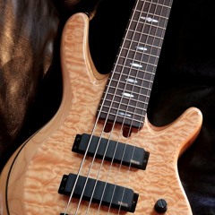 Duo 6 string bass and voice: "tobacco road"