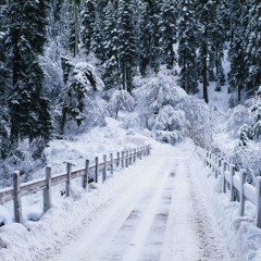 Snowflight (Andrew York) Performed by Fr. Kyrillos Ibrahim