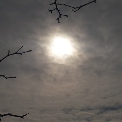 "jutro sie ogarne" (...)