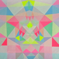 Dolphin Turned Into A Cat