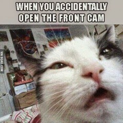 [UTAU acapella] This is what happens when I watch Pitch Perfect +UST