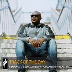 Track of the Day: TRU Concept & DevelopMENT ft. Romany “If You Want Me” (Roska Remix)