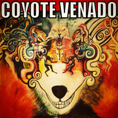 Coyote Venado