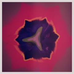 Revolver