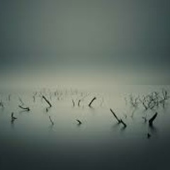 I Put My Hands In The Water And Then They Were Gone