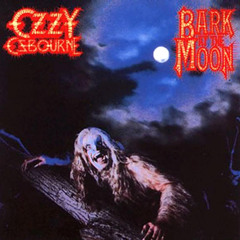 Bark At The Moon (Ozzy Osbourne Cover)