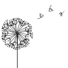 Desperado - Westlife (cover)