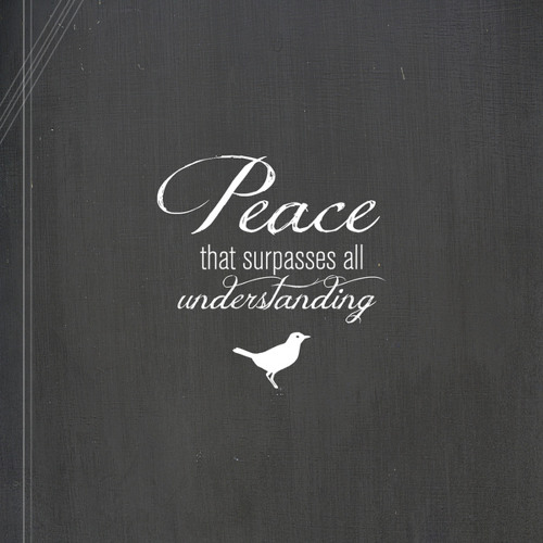 Your Peace Feat. Andrew Makar