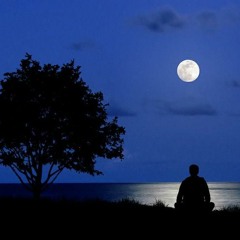 Inevitable - Manu Castro y Los Semitonos