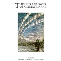 There Is A Flower Of Climate Rare