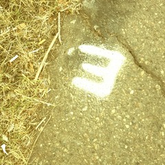 Voice8 at Sacramento