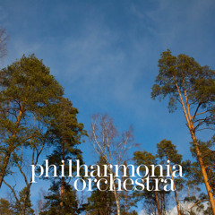 Erkki Korhonen performs Jean Sibelius, Romance, Op. 24 No.9