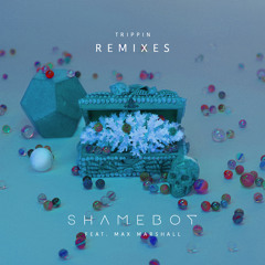 Shameboy - Trippin ft. Max Marshall (Christopher Norman Remix)