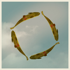 Musik Gewinnt Freunde - Podcast - Matthus Raman