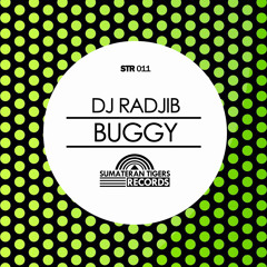 Radjib - Buggy (Original Mix)