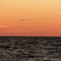 Stationary Travels – The Ocean Inside