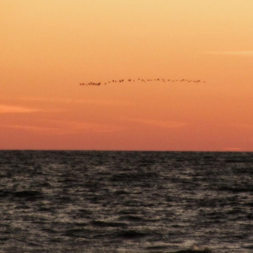 Stationary Travels – The Ocean Inside