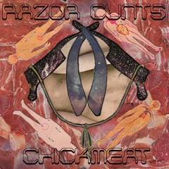 3. Gayrider - Razor Cunts